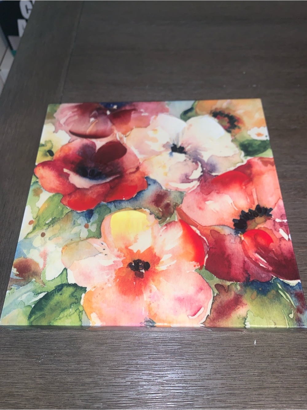 Vibrant Watercolor Floral Canvas Wall Art - Red & Pink